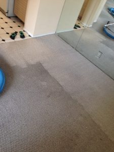 irvine carpet cleaning