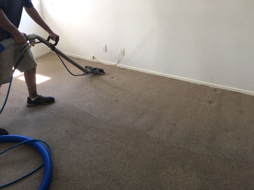 carpet cleaning