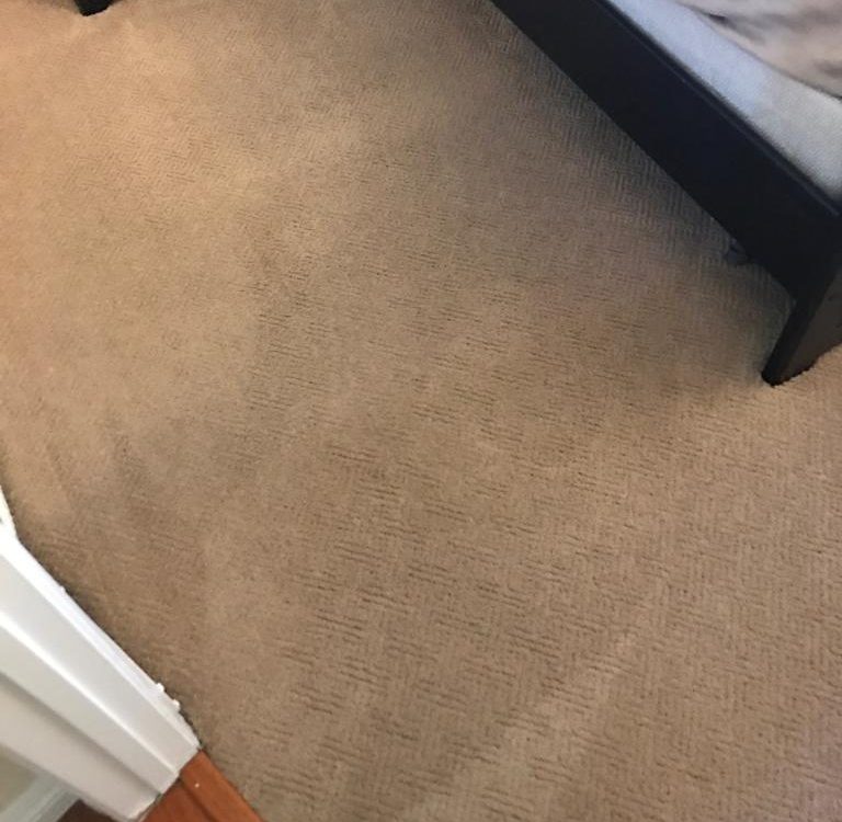 lake forest carpet cleaning service