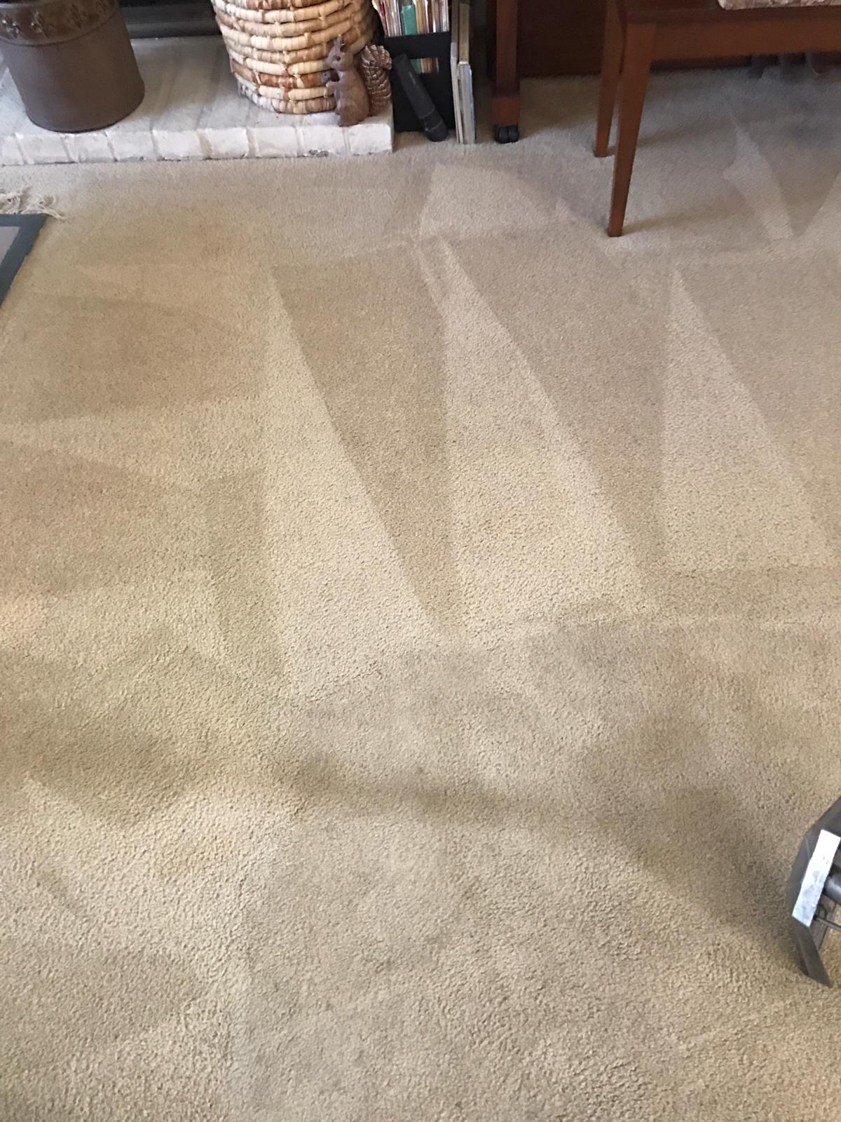 Carpet cleaner near me - SteamLine carpet cleaning restoration