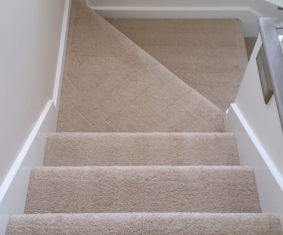 best carpet cleaning service in lake forest