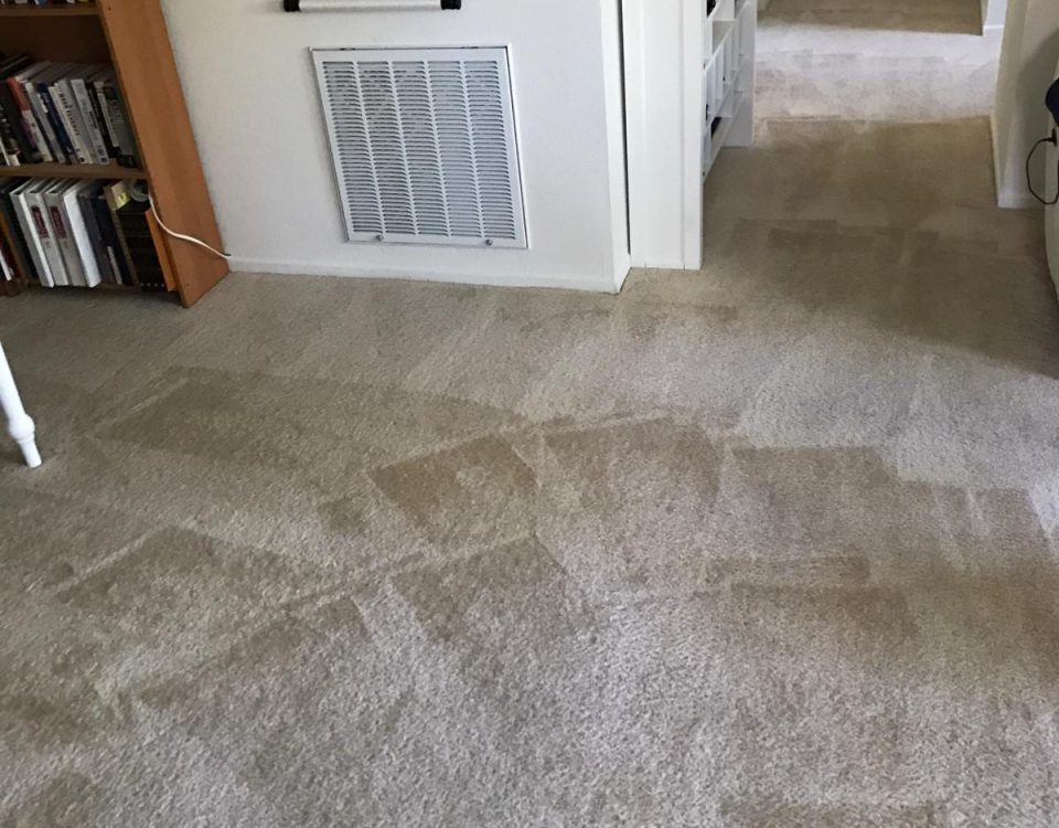 green carpet cleaning lake forest